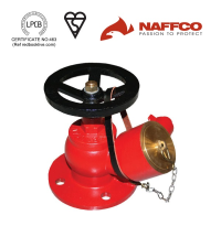ndr-098-oblique-landing-valve-flanged-inlet-naffco.png